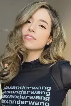 Flipped Chat AI – Chatta med Pokimane