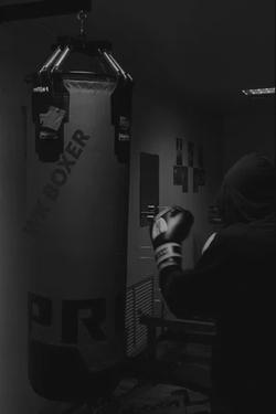 Flipped Chat AI – kalbėkite su Boxer