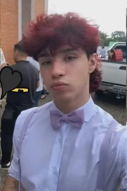 Flipped Chat AI – Csevegés Gian Luka