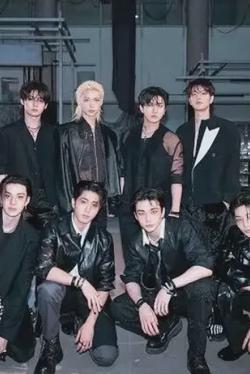 Flipped Chat AI – Чат с Stray kids