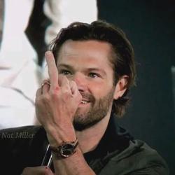 Flipped Chat AI – Discuter avec Jared Padalecki 