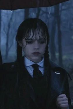 Flipped Chat AI – Chat s Wednesday addams