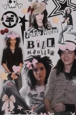 Flipped Chat AI – Чат с Bill kaulitz,tom kaulitz,georg