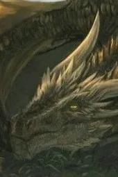 Omgedraaide chat AI – Chat met Viserion 