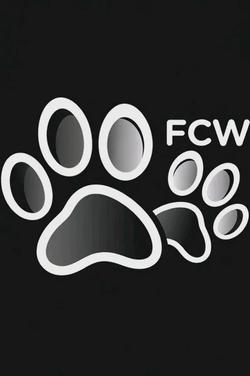 Flipped Chat AI – Чат с FCW