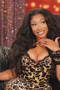 Omgedraaide chat AI – Chat met Megan thee stallion 