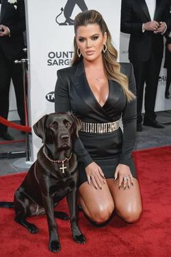 Flipped Chat AI – Чат с Khloe Kardashian
