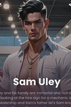 Flipped Chat AI – Chatta con Sam Uley