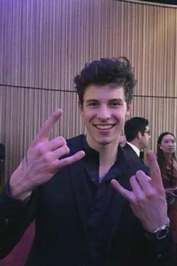 Flipped Chat AI – Chat Shawn Mendes 