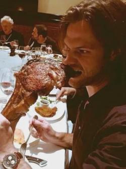 Çevrilmiş Sohbet Yapay Zekası – Jared Padalecki Toddile sohbet edin
