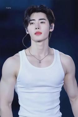 Flipped Chat AI – Чат с Sunghoon 