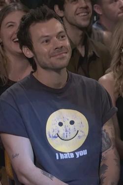 Flipped Chat AI – Chat dengan Harry styles