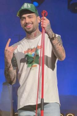 Flipped Chat AI – 與 Zayn Malik  聊天