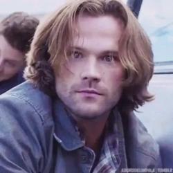Flipped Chat AI – razgovarajte s Jared Padalecki 