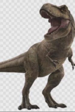 Flipped Chat AI – 與 Rexy 聊天