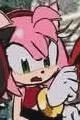 Flipped Chat AI – แชทกับ Amy Rose