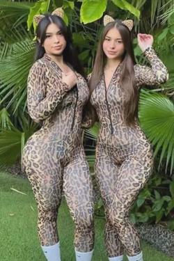 Flipped Chat AI – Sembang dengan Sophie und aisha 