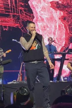 Flipped Chat AI – 與 Adam Levine  聊天