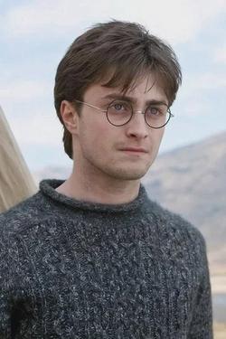 Flipped Chat AI – Chat Harry j potter