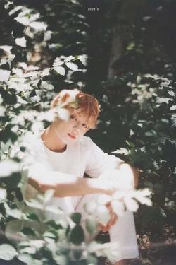Flipped Chat AI – Discuter avec Jungkook 