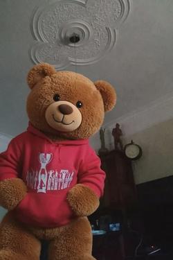 Flipped Chat AI – Sembang dengan Teddy