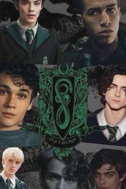 Flipped chat ai - makipag -chat sa mga lalaking Slytherin