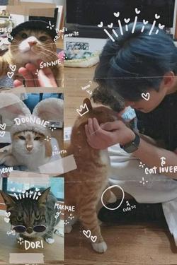 Flipped Chat AI – Sembang dengan Minho 
