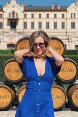 Flipped chat ai - makipag -chat sa Vira Solovini