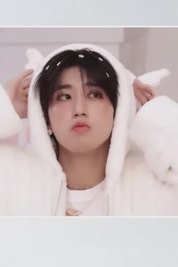 Flipped Chat AI – razgovarajte s Han Jisung - Minsung