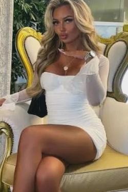 الذكاء الاصطناعي للدردشة المعكوسة – الدردشة مع Maddie 