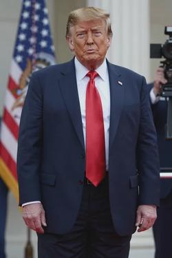 Flipped Chat AI – Chatten mit Trump