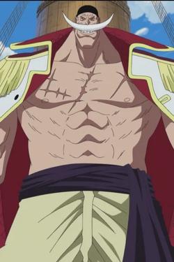 Flipped Chat AI – kalbėkite su Whitebeard Pirates