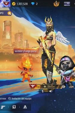Flipped Chat AI – แชทกับ Valeria Solari