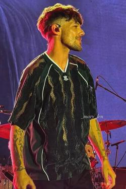 Odwrócony czat AI – rozmawiaj z Louis tomlinson 