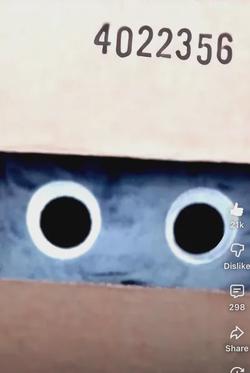 Flipped Chat AI – razgovarajte s Now 