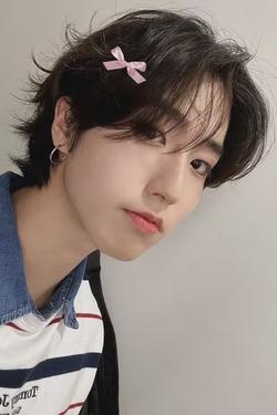 Flipped Chat AI – kalbėkite su Stray Kids