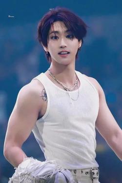 Flipped Chat AI – Discuter avec Han Jisung