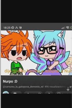 Flipped Chat AI – Chatta con caro