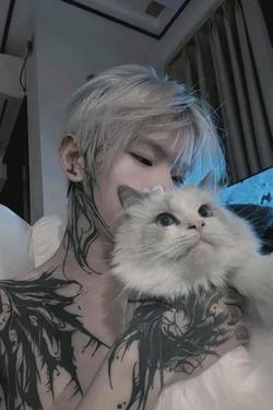 Flipped Chat AI – Chat AN ĐỨC 