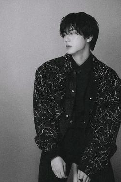 Flipped Chat AI – Chat s Kim Seokjin