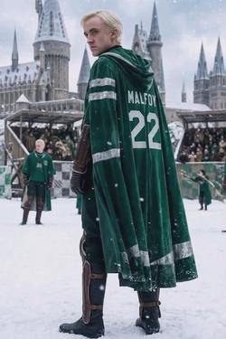 Flipped Chat AI – Chatten mit Draco Malfoy (Quidditch)