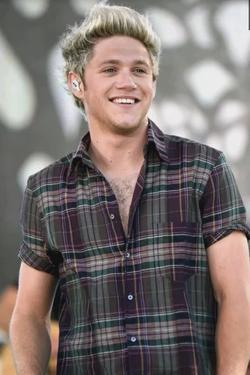 Flipped Chat AI – Chat cu Niall horan