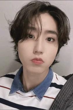 Flipped Chat AI – Chatten mit Han jisung BL
