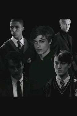 Flipped Chat AI – kalbėkite su Slytherin Boys