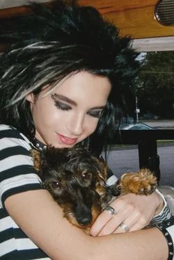 Flipped Chat AI – Chat s Bill Kaulitz 