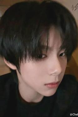 Flipped Chat AI – Chat dengan Chen sihan