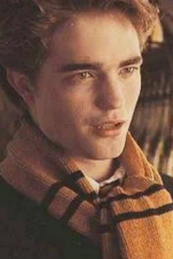 Flipped Chat AI – Chatten mit Cedric Diggory
