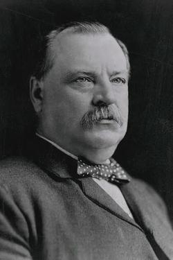 Flipped Chat AI – Discuter avec Grover Cleveland