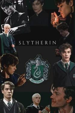 Flipped Chat AI – Discuter avec Slytherin Garçons (Chat de groupe)