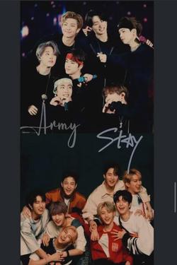 Flipped Chat AI – Chatta con STRAY KIDS und BTS BL